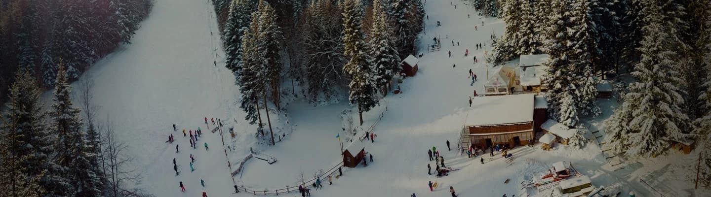 header banner image