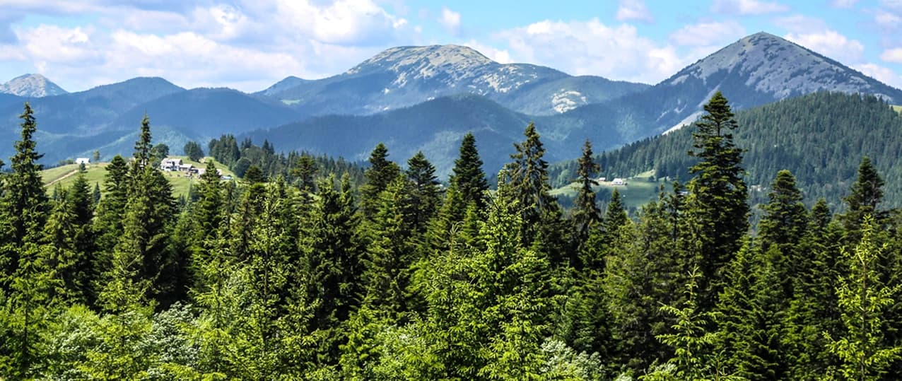 Truskavets header banner
