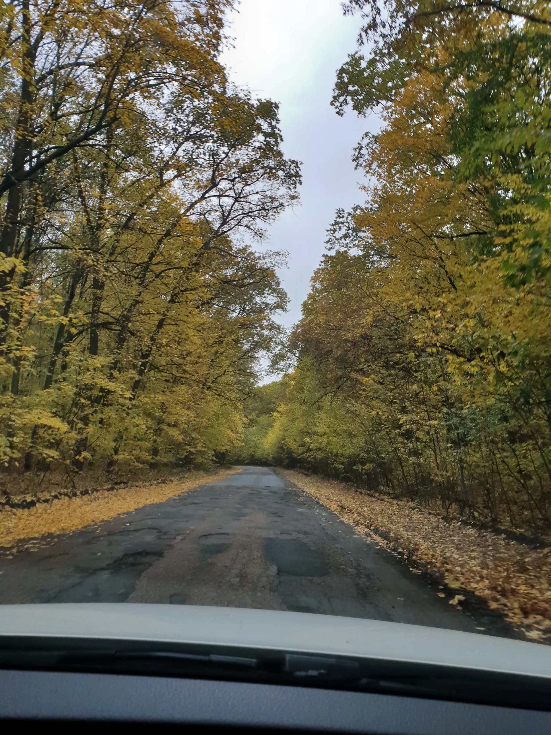 Hotel gallery photo - 6