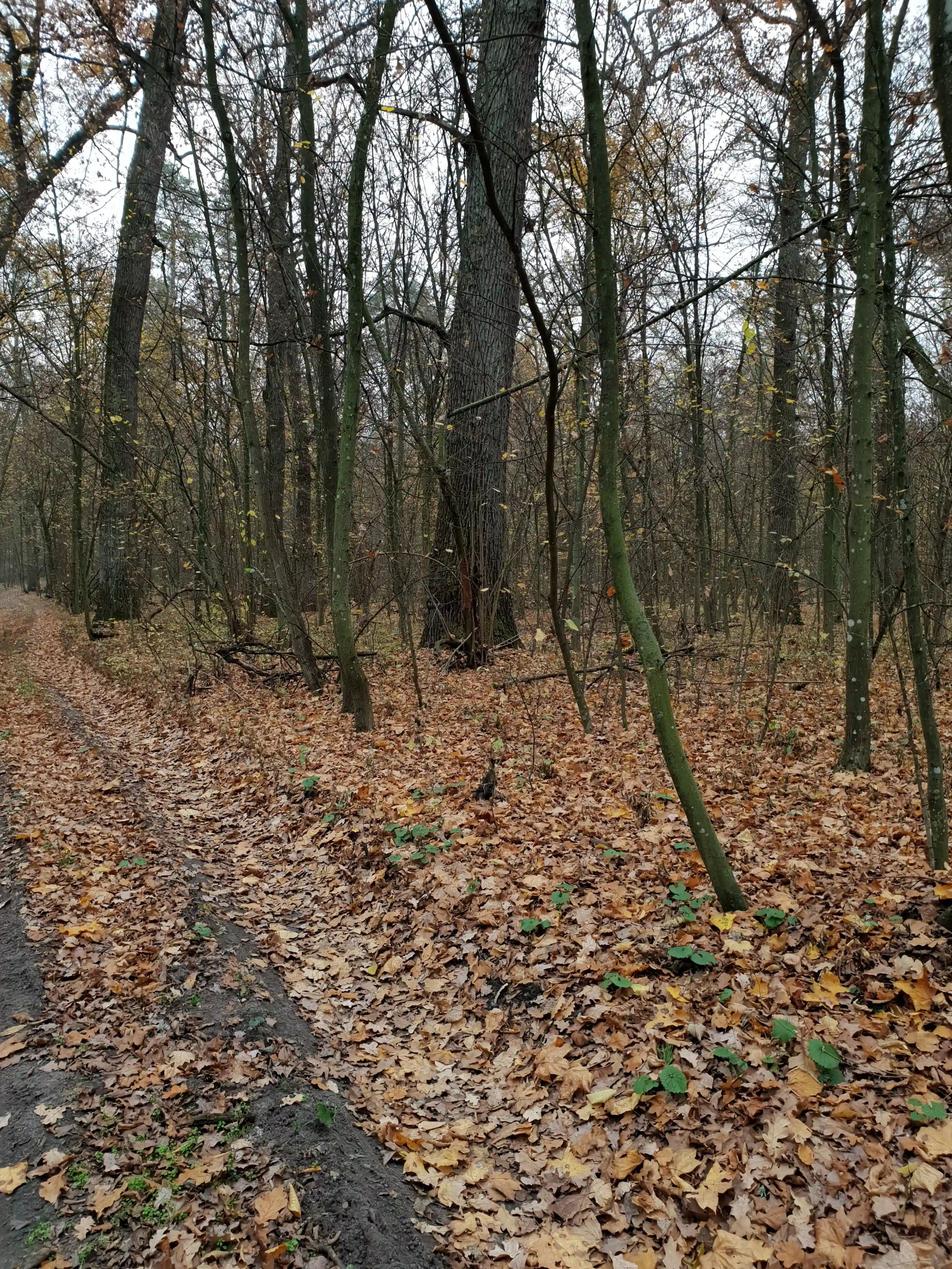 Hotel gallery photo - 7