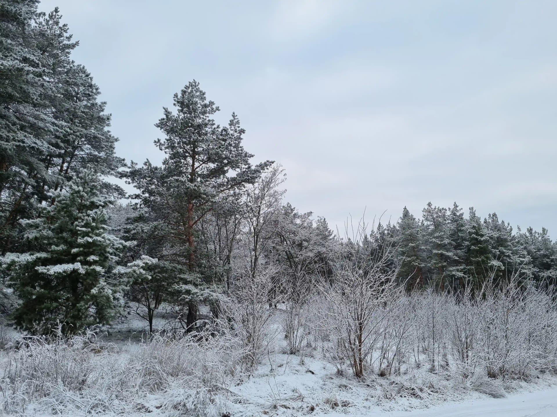 Hotel gallery photo - 8