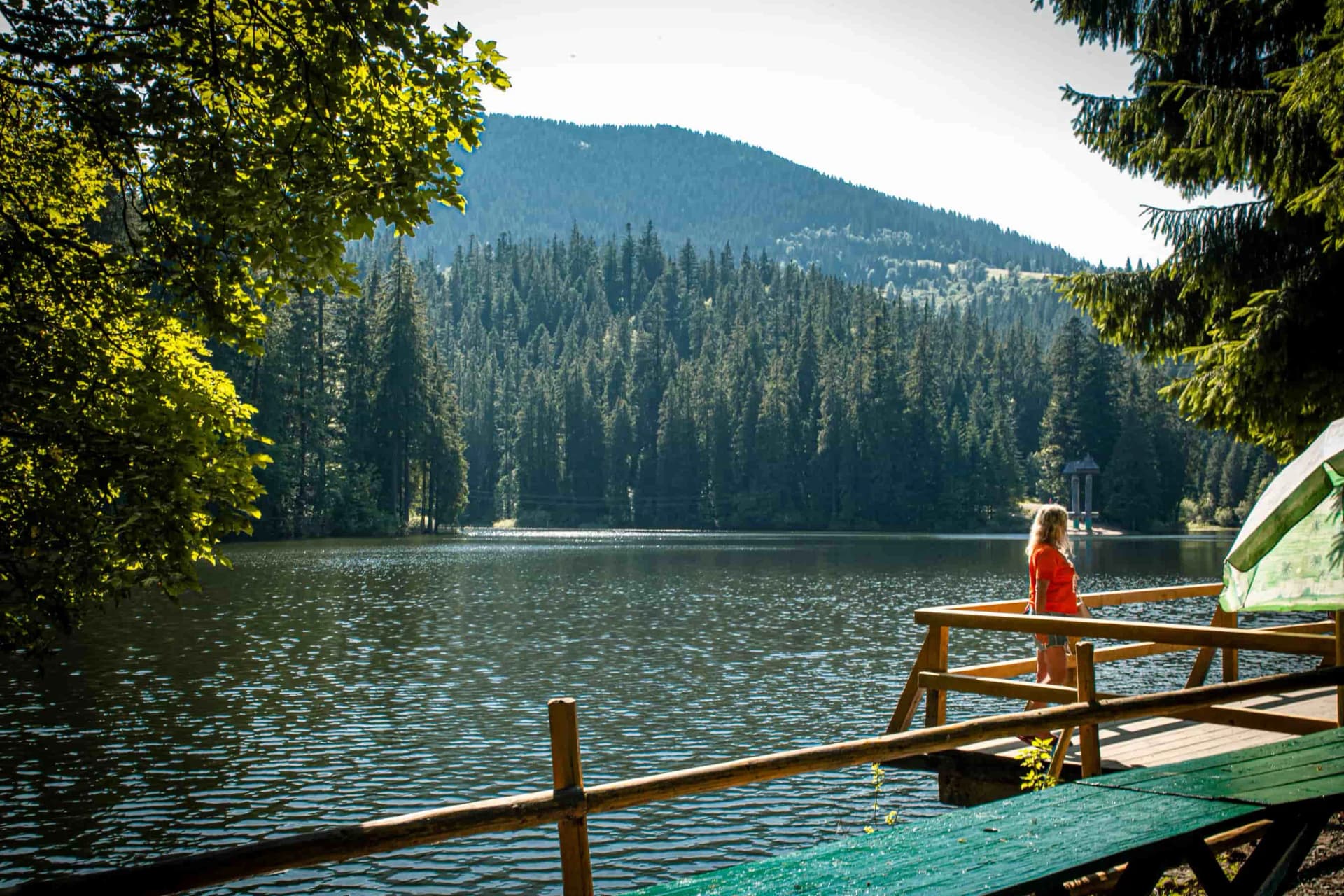 Hotel gallery photo - 12