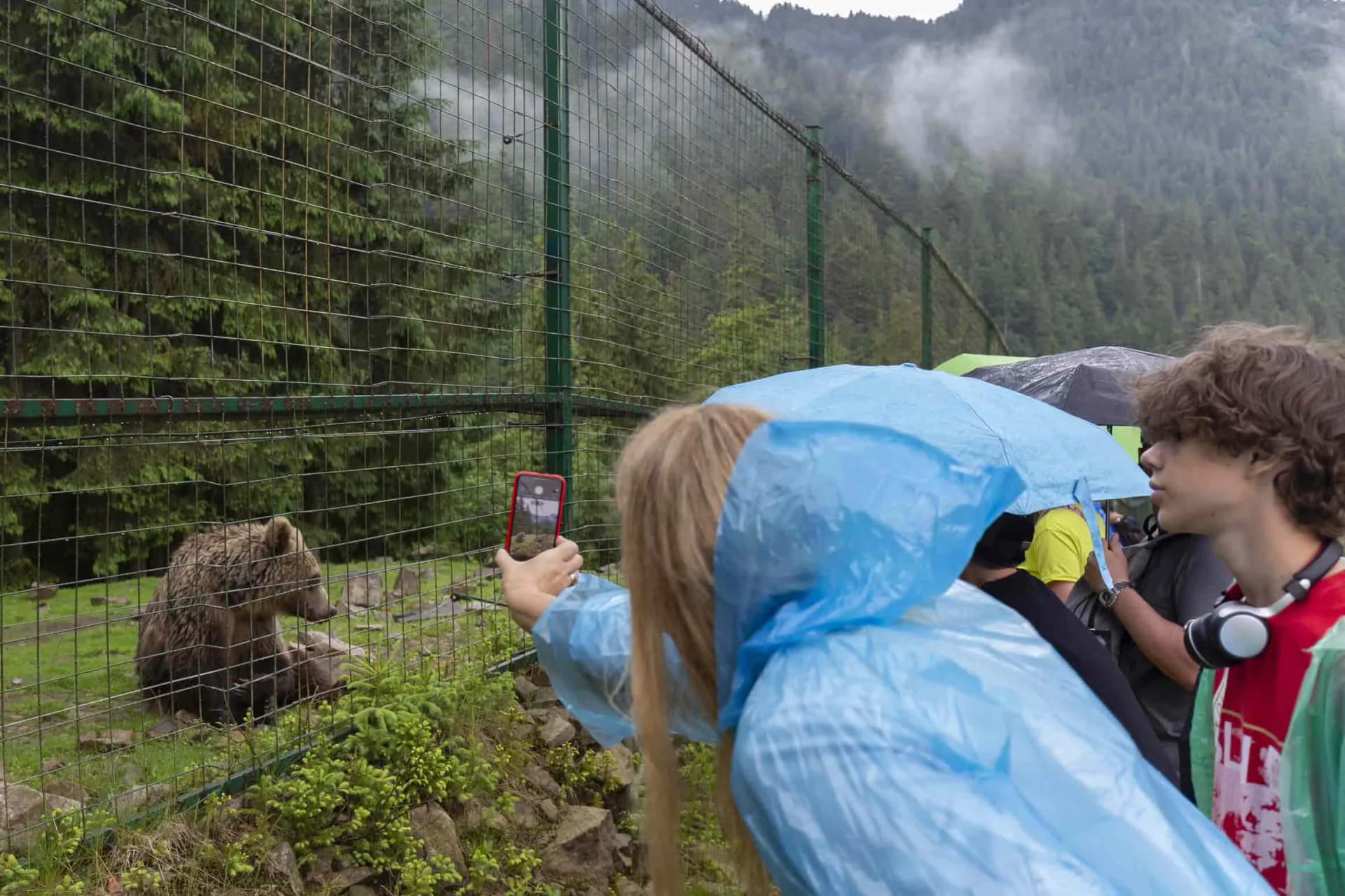 Hotel gallery photo - 14