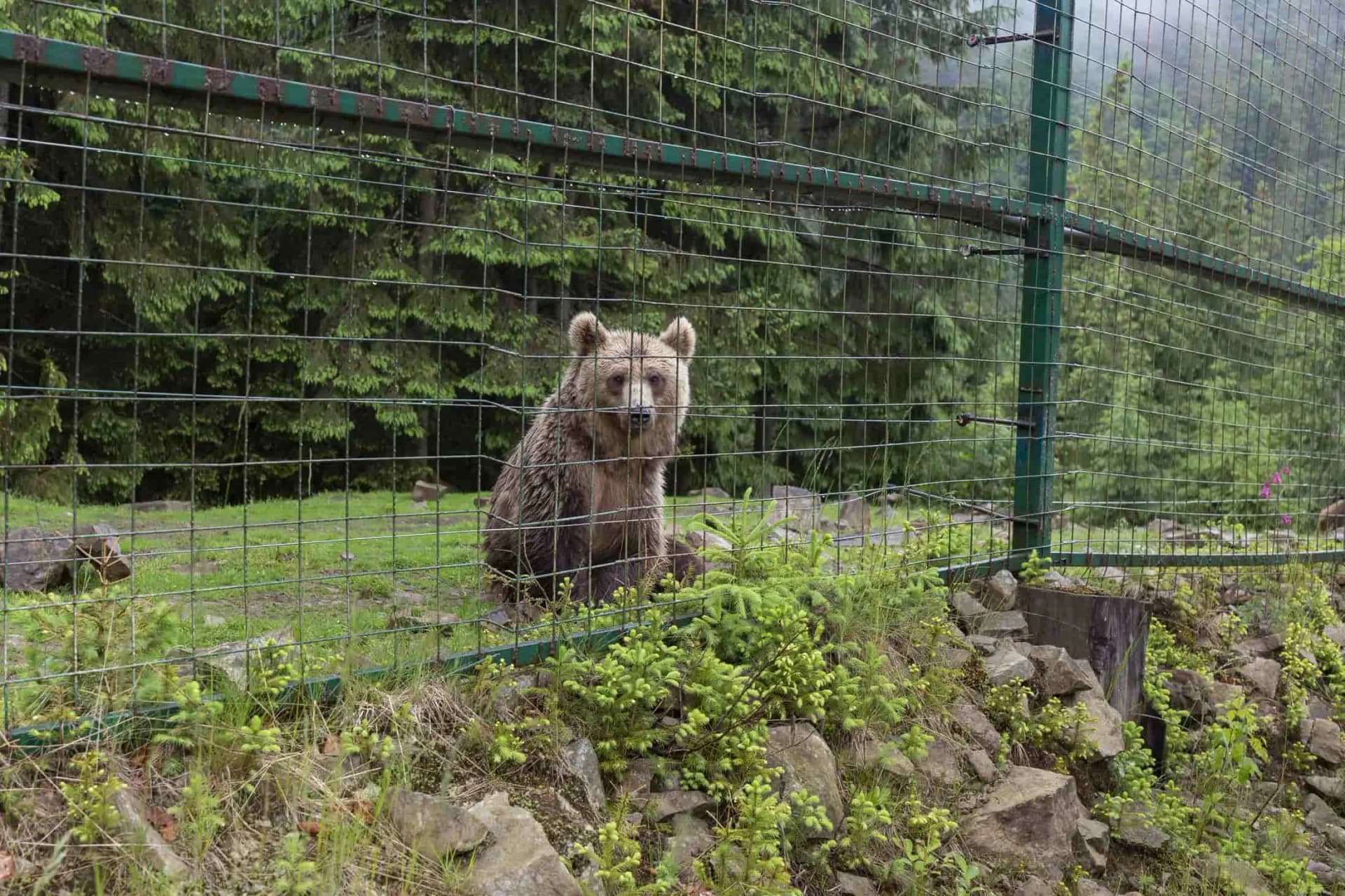 Hotel gallery photo - 15