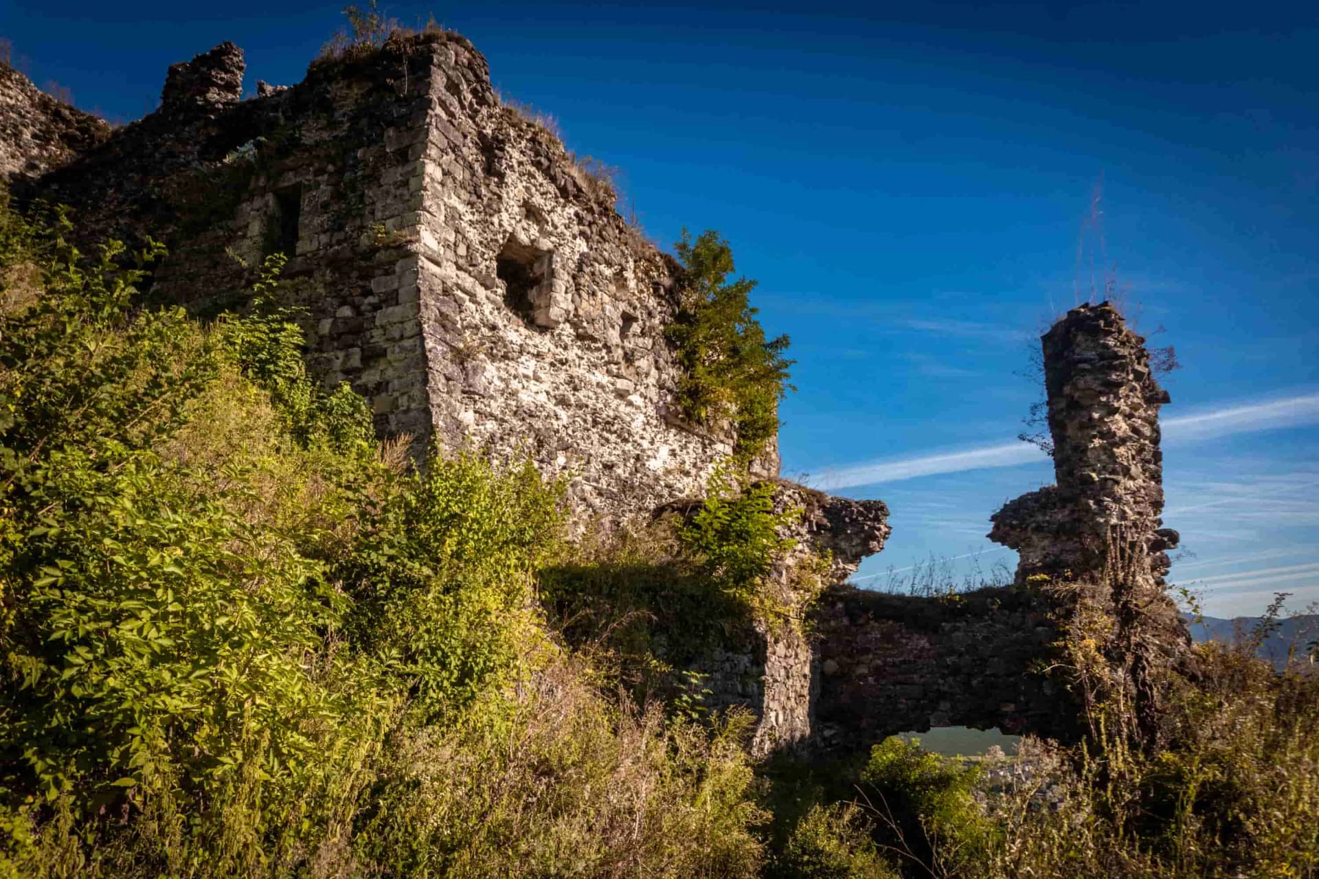 Hotel gallery photo - 23