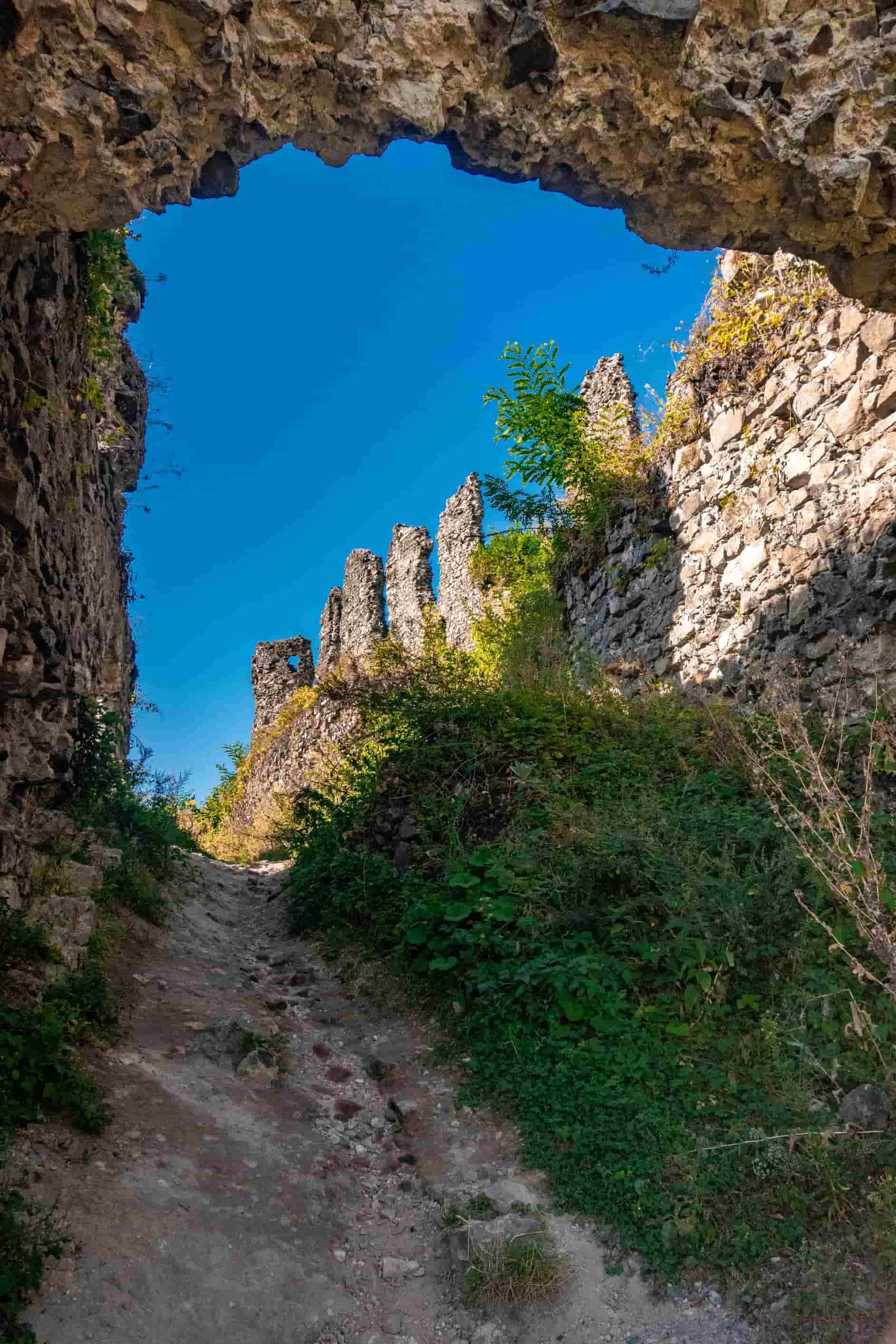 Hotel gallery photo - 24