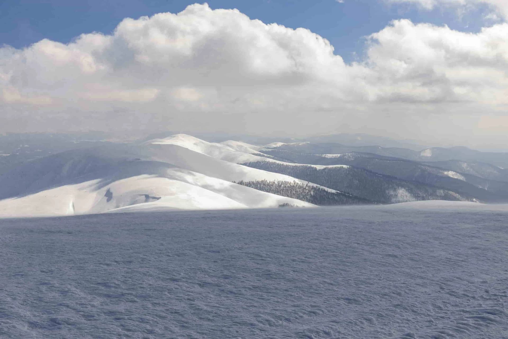 Hotel gallery photo - 5