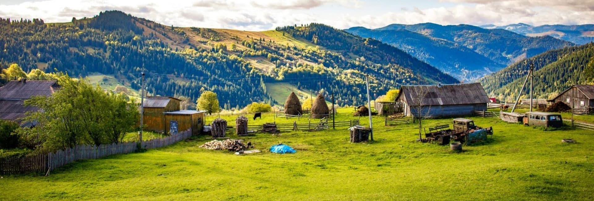 Hotel gallery photo - 11