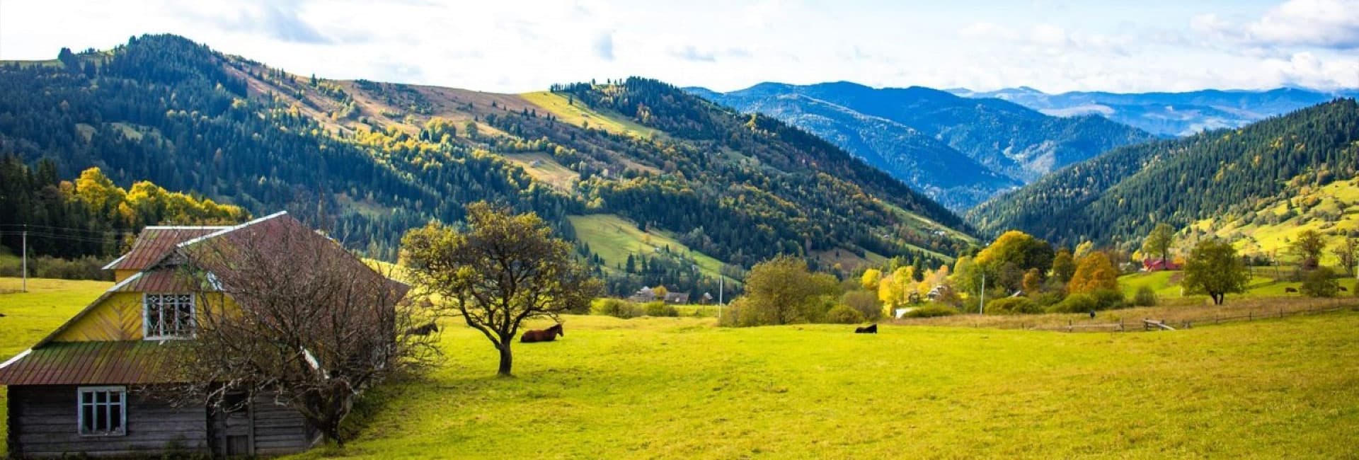 Hotel gallery photo - 1