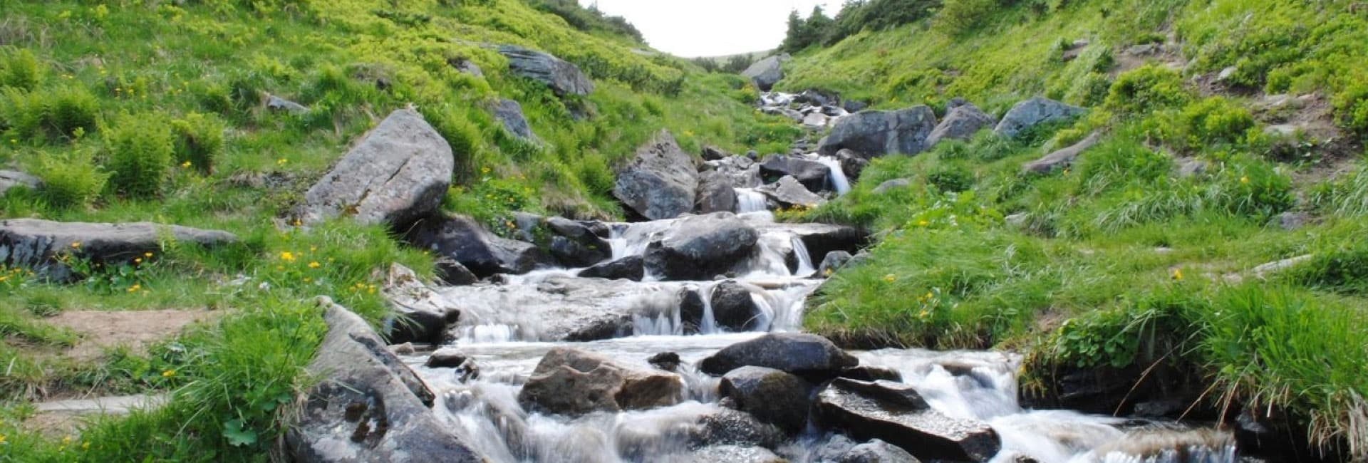 Hotel gallery photo - 2