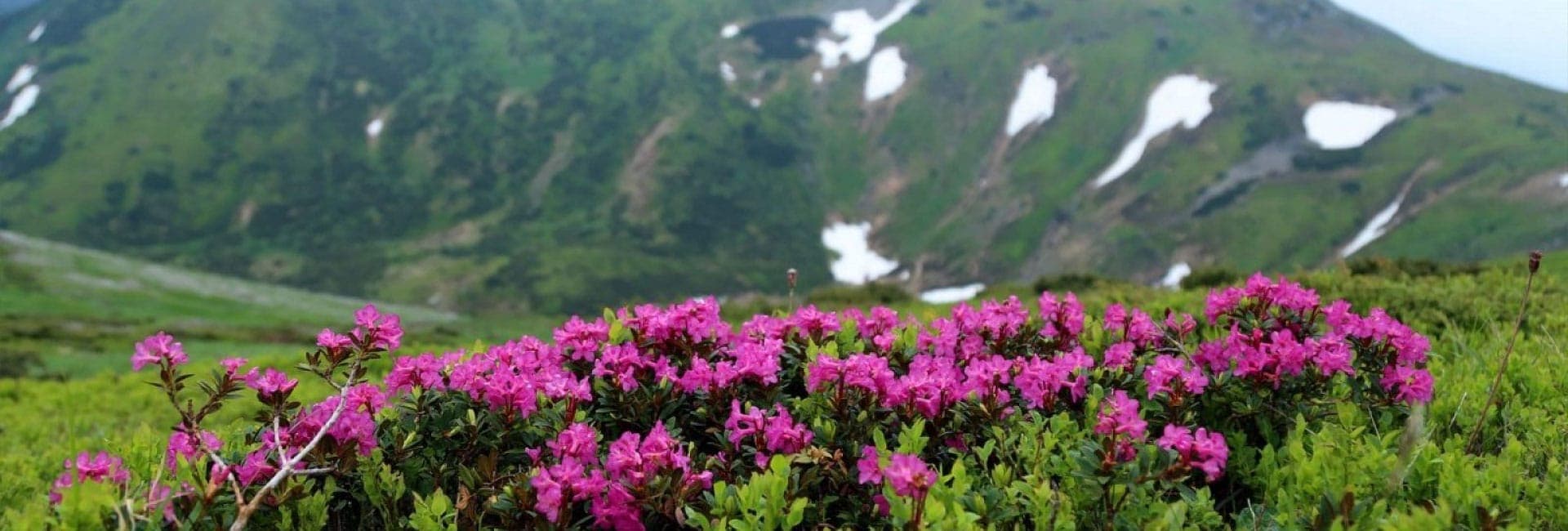 Hotel gallery photo - 3