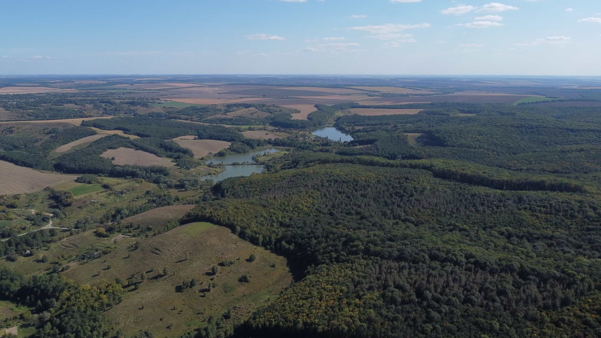 Hotel gallery photo - 14