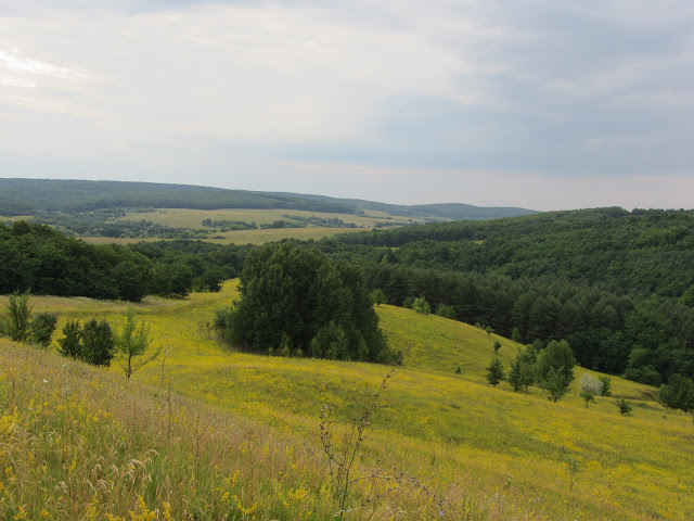 Hotel gallery photo - 28