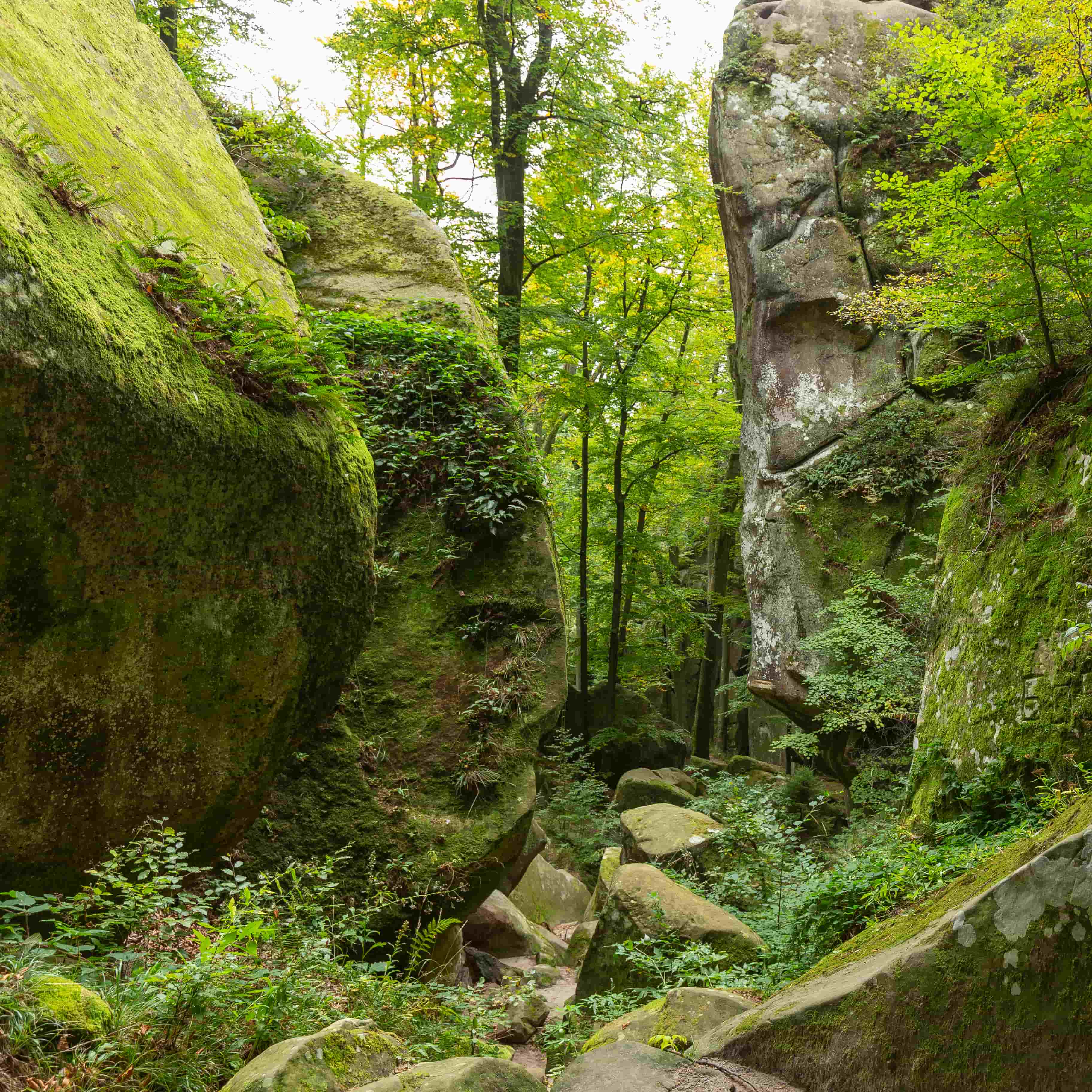 Hotel gallery photo - 3