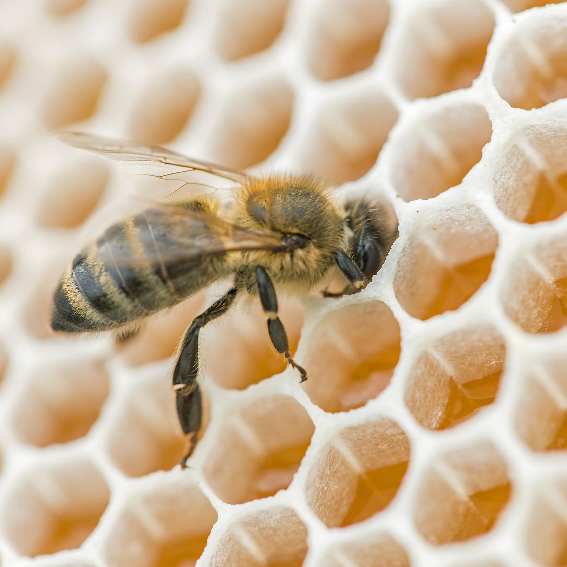 Hotel gallery photo - 6