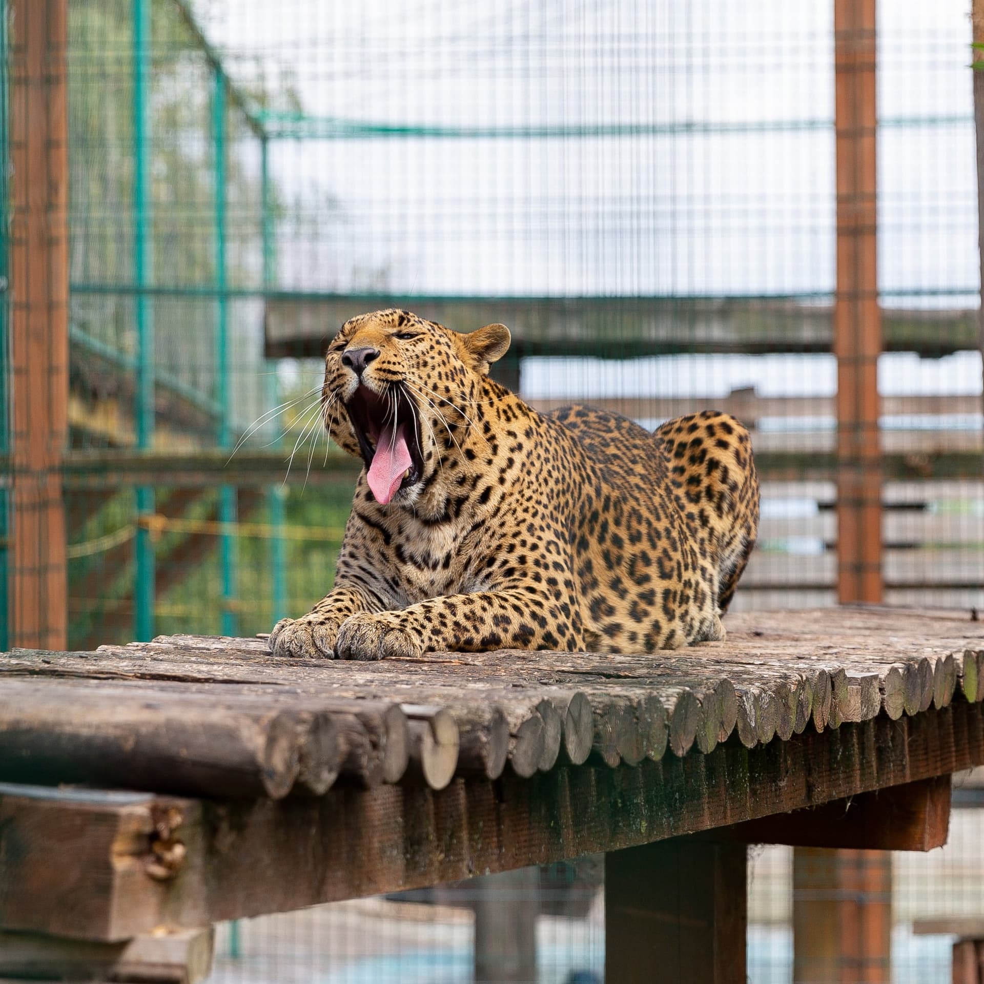 Hotel gallery photo - 3