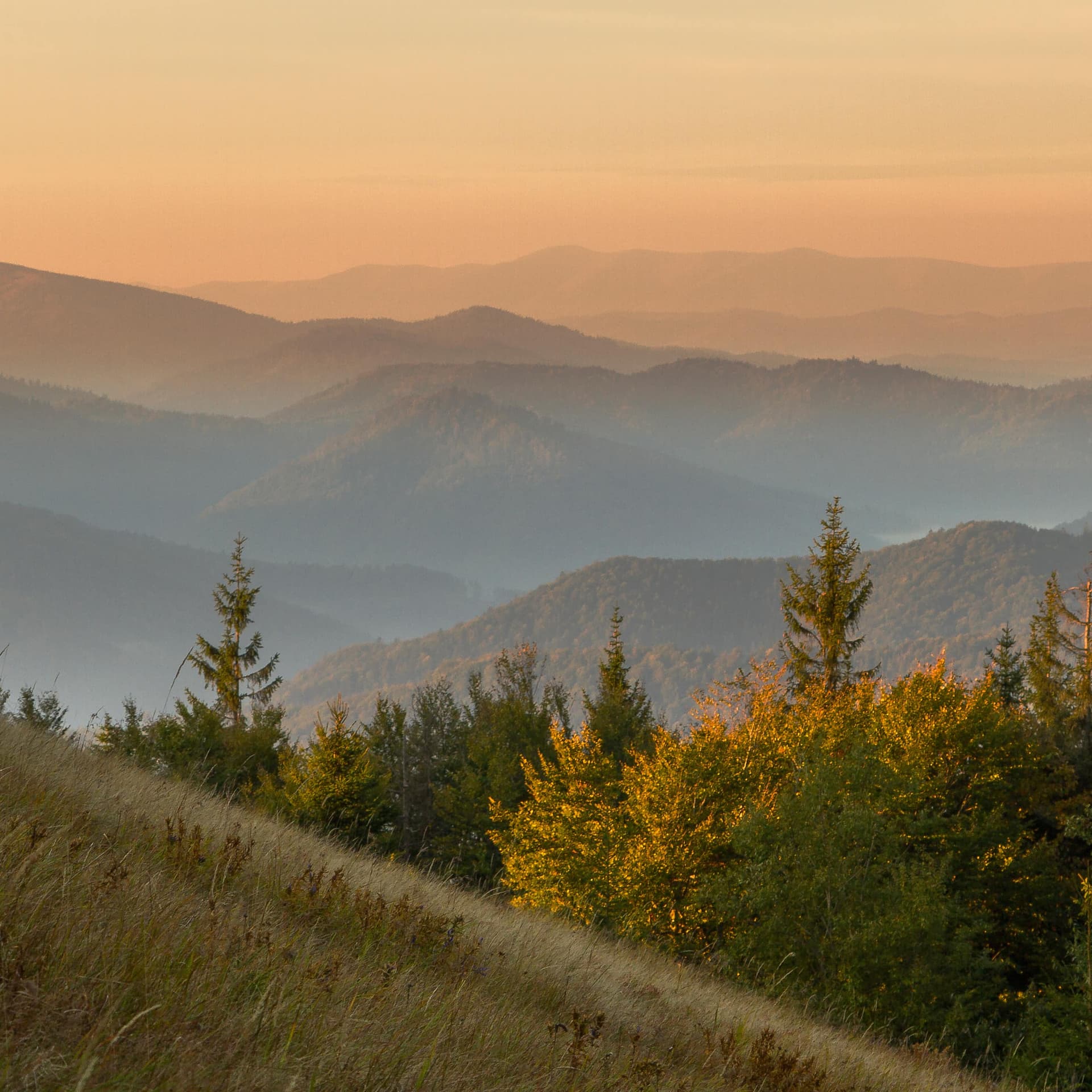 Hotel gallery photo - 6