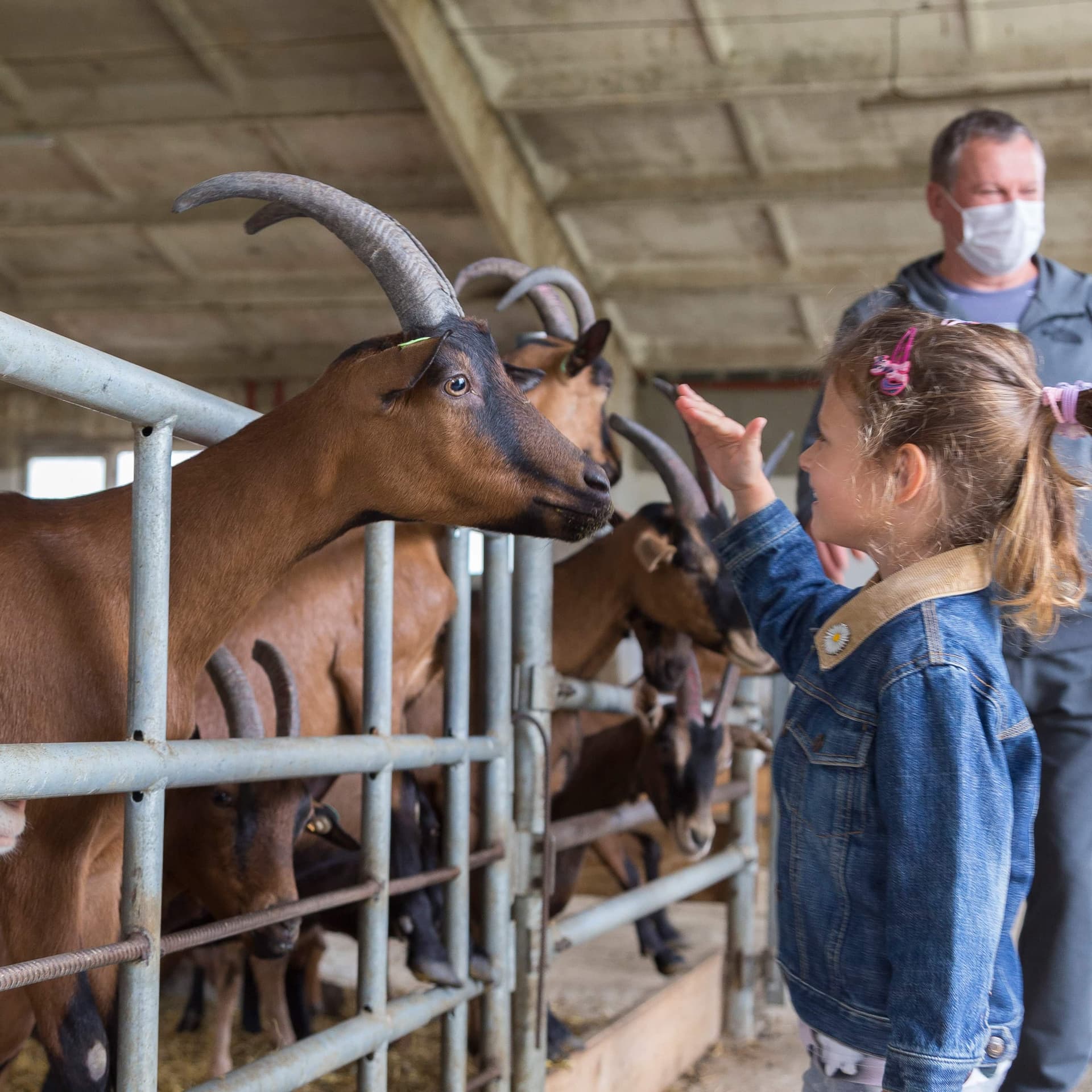 Hotel gallery photo - 4