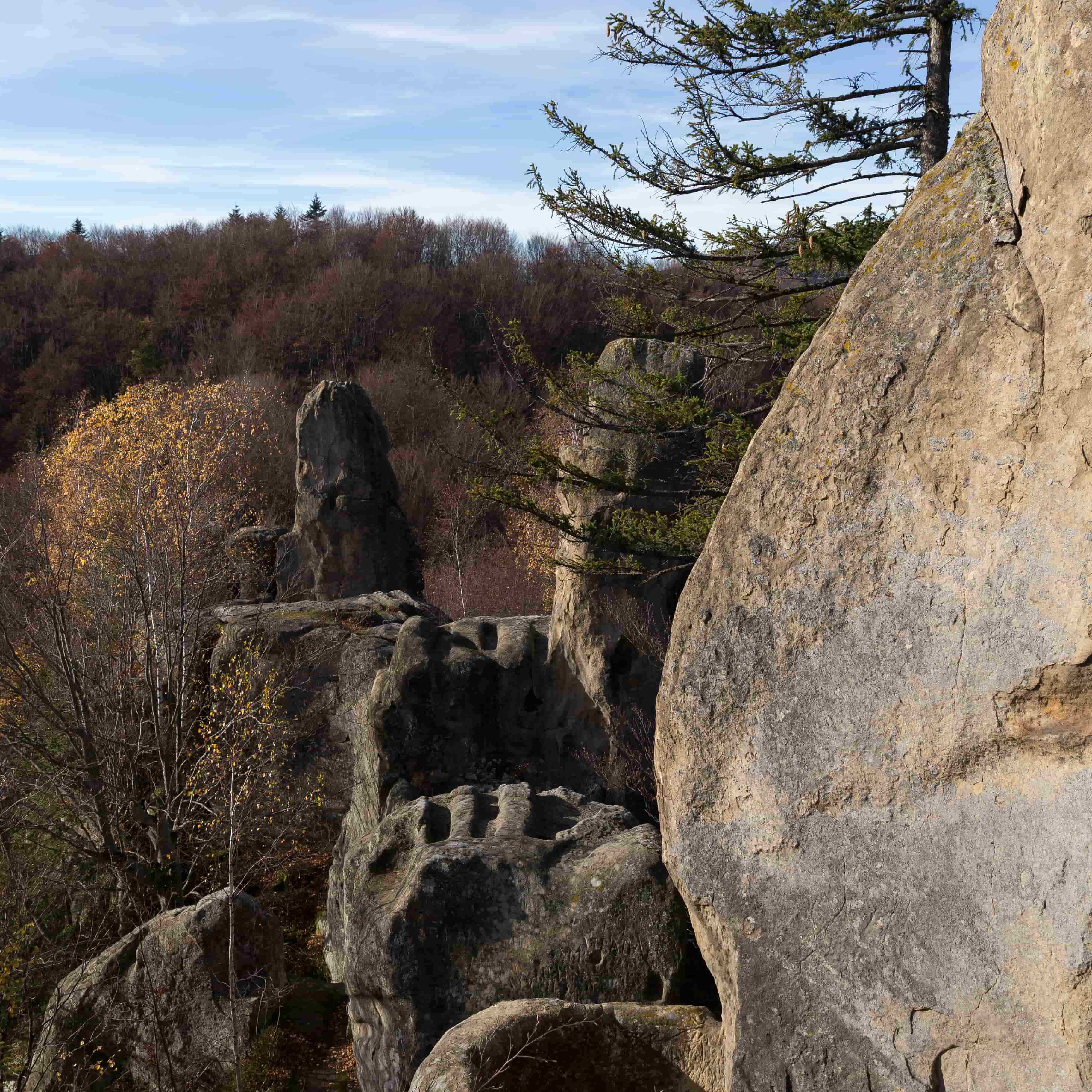 Hotel gallery photo - 5