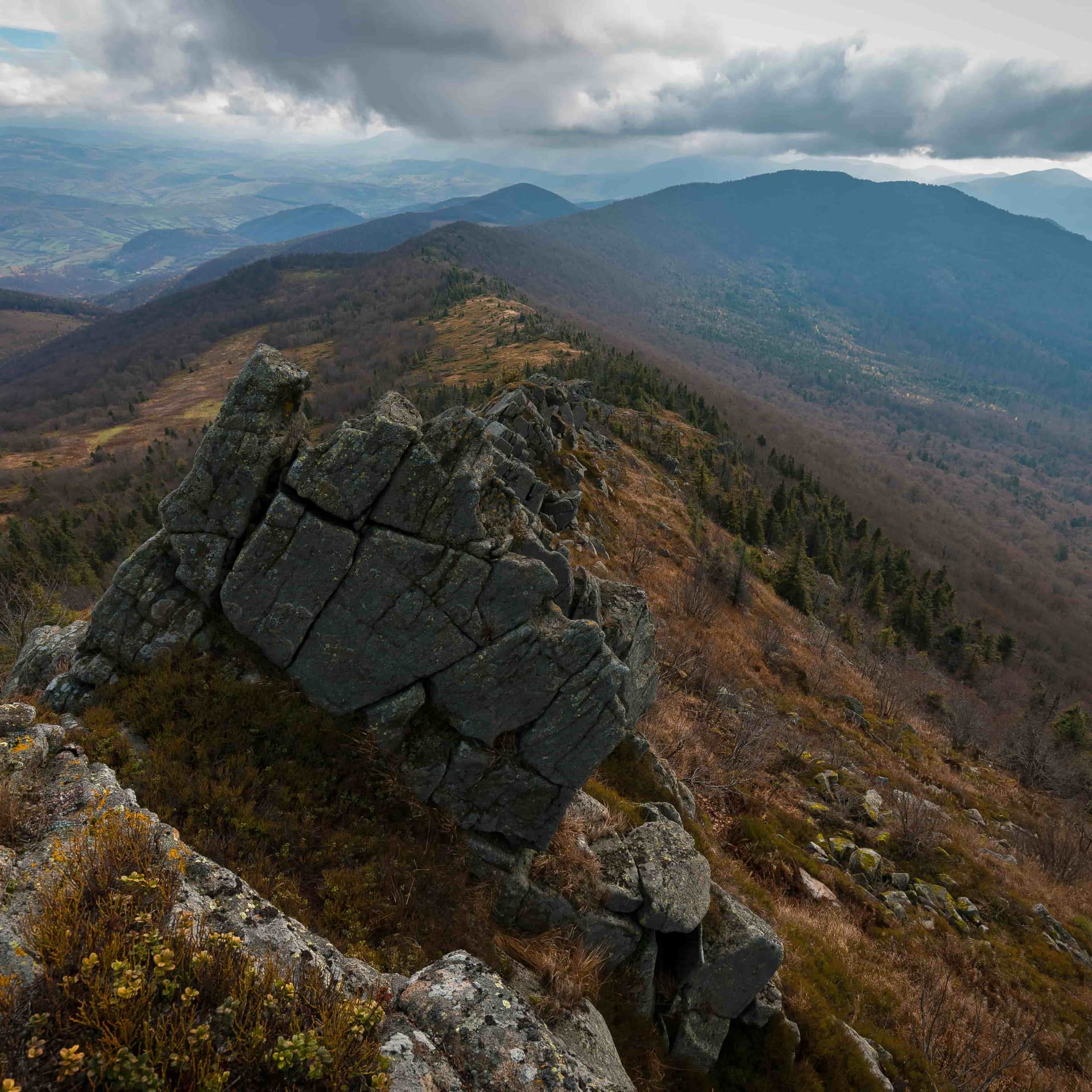 Hotel gallery photo - 6