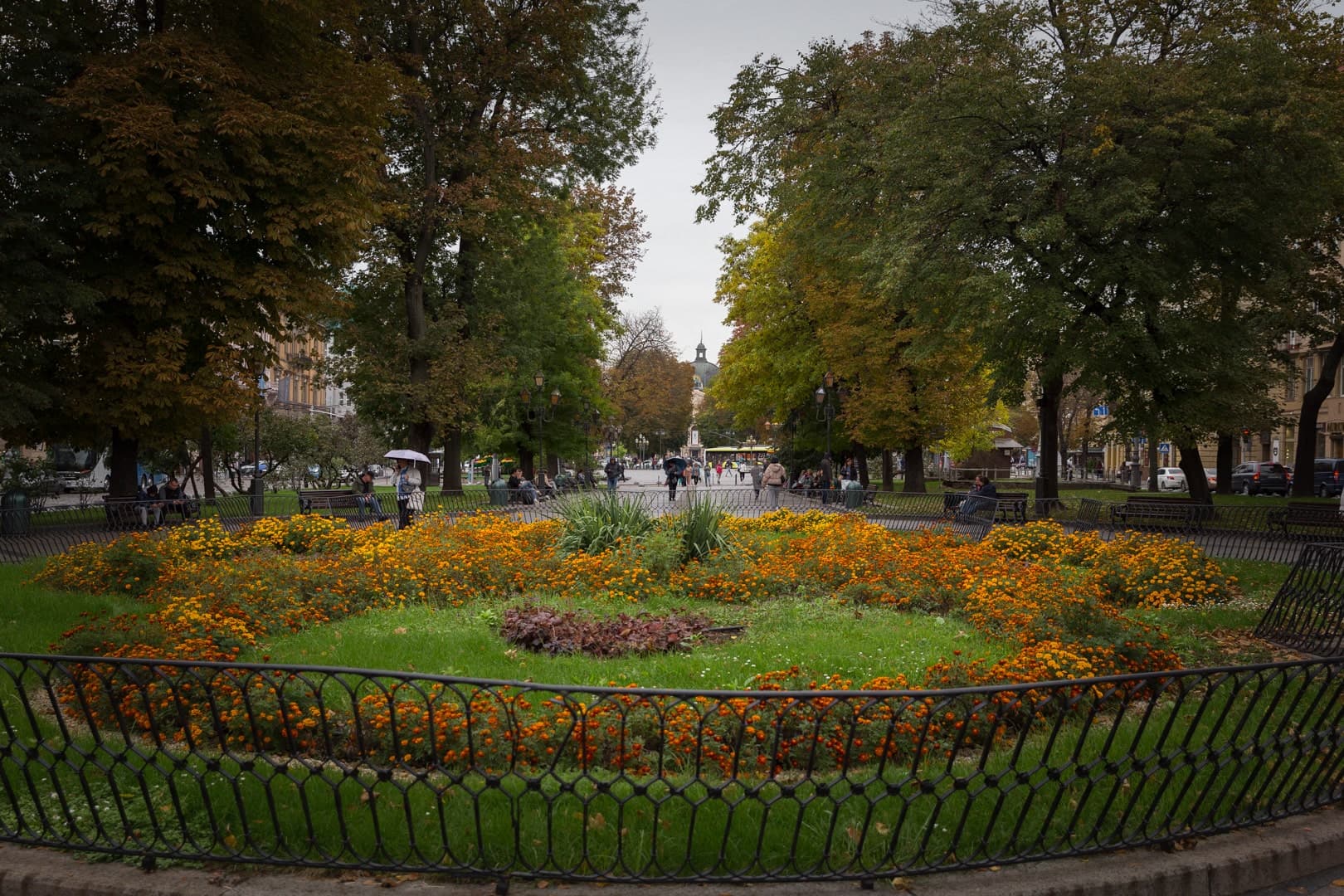 Hotel gallery photo - 11