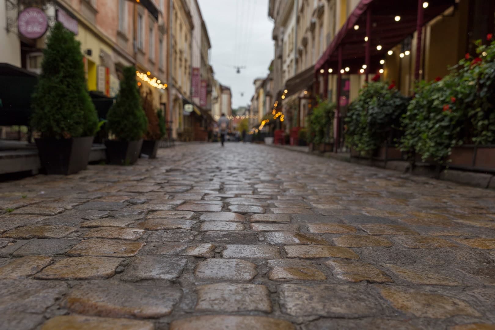 Hotel gallery photo - 12