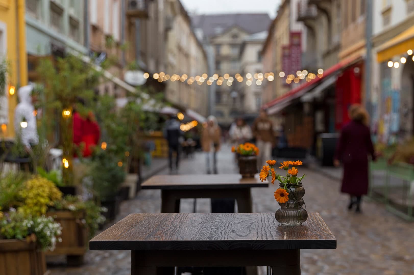 Hotel gallery photo - 14