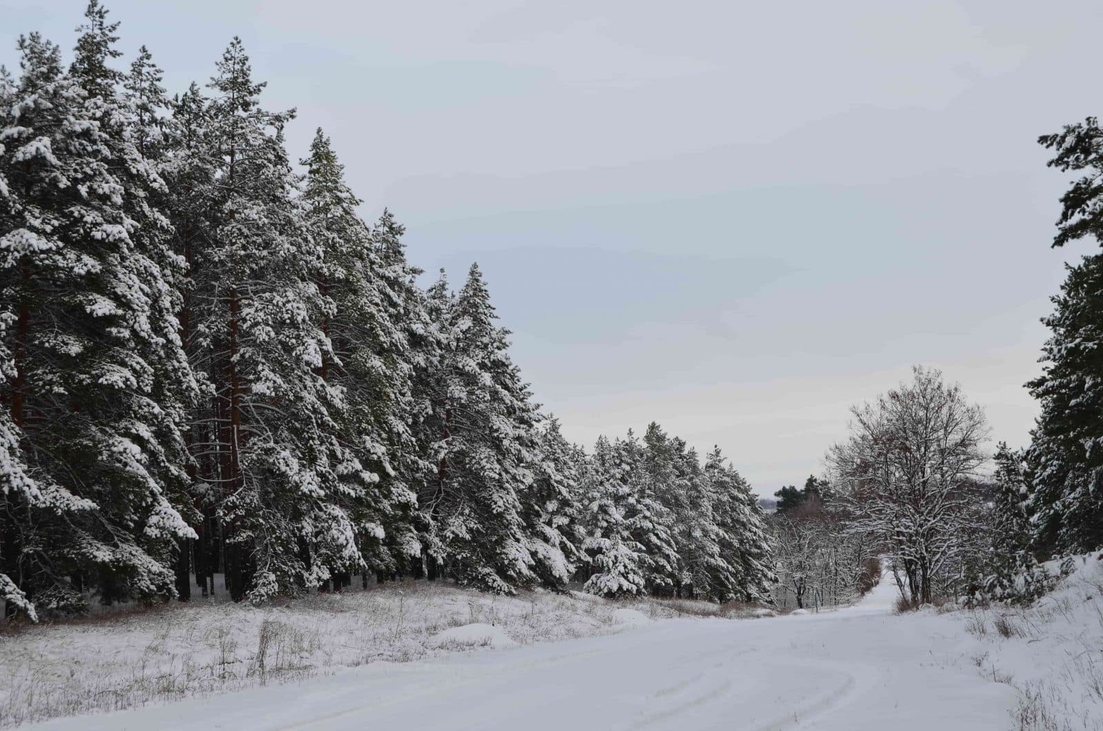 Hotel gallery photo - 0