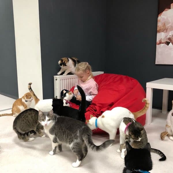 Hotel gallery photo - 2