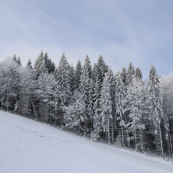 Hotel gallery photo - 0