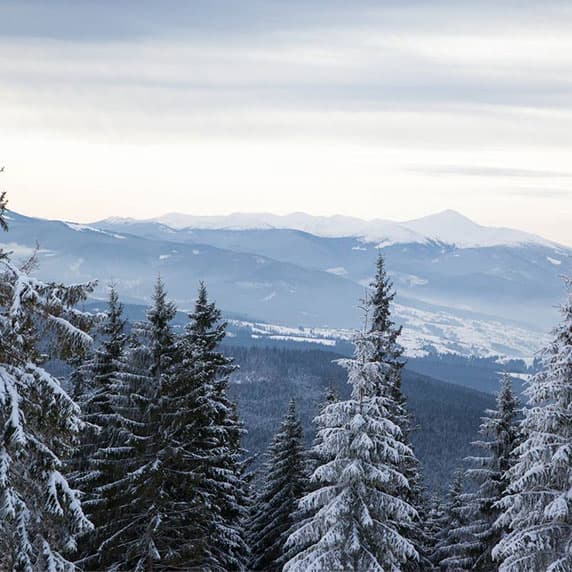 Hotel gallery photo - 1