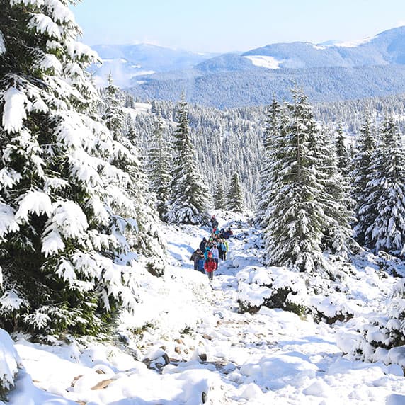 Hotel gallery photo - 0