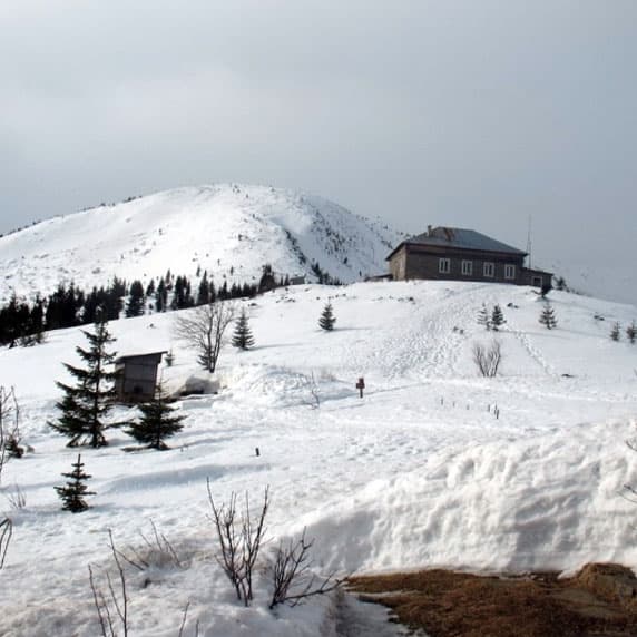 Hotel gallery photo - 0