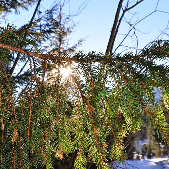 Hotel gallery photo - 1