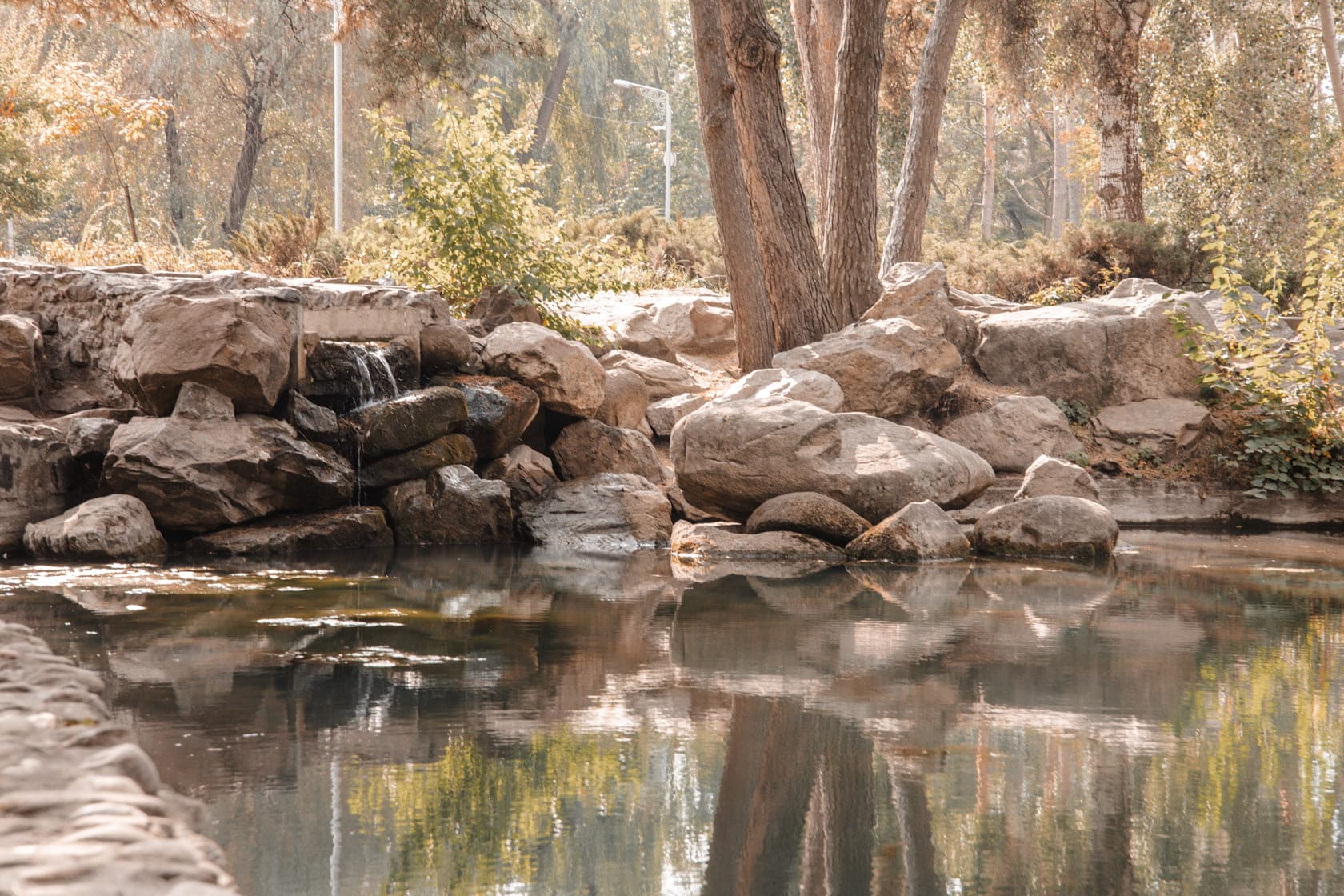 Hotel gallery photo - 9