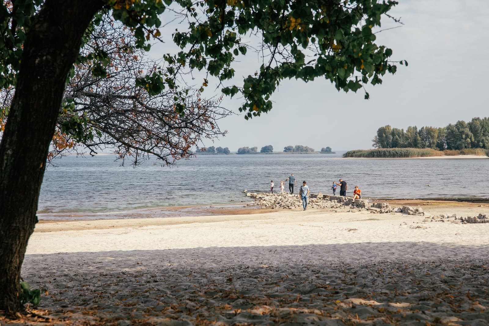 Hotel gallery photo - 11