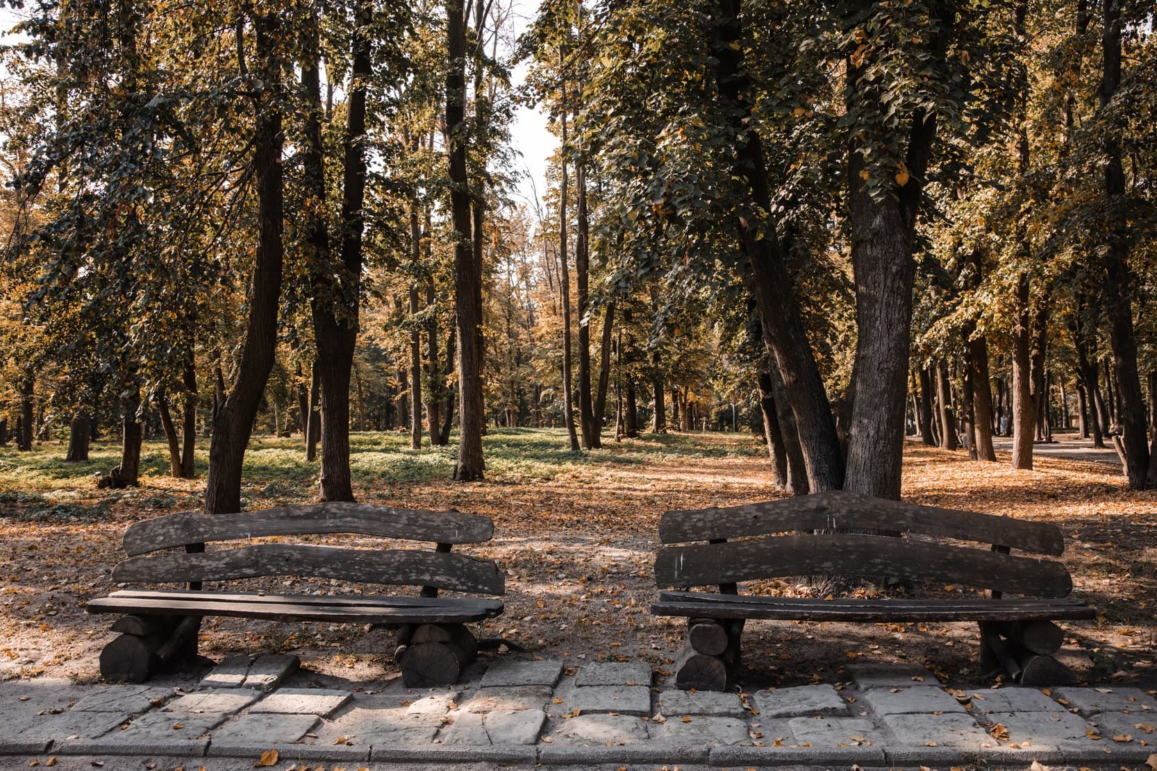 Hotel gallery photo - 21