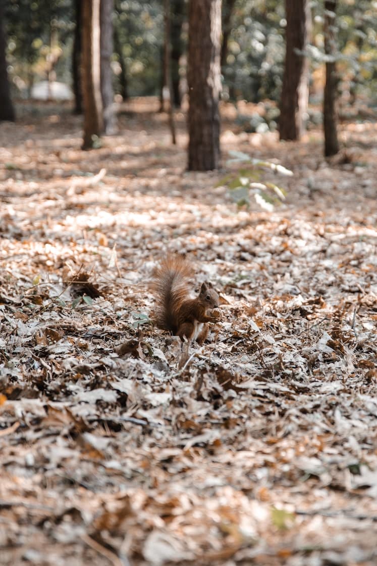 Hotel gallery photo - 2