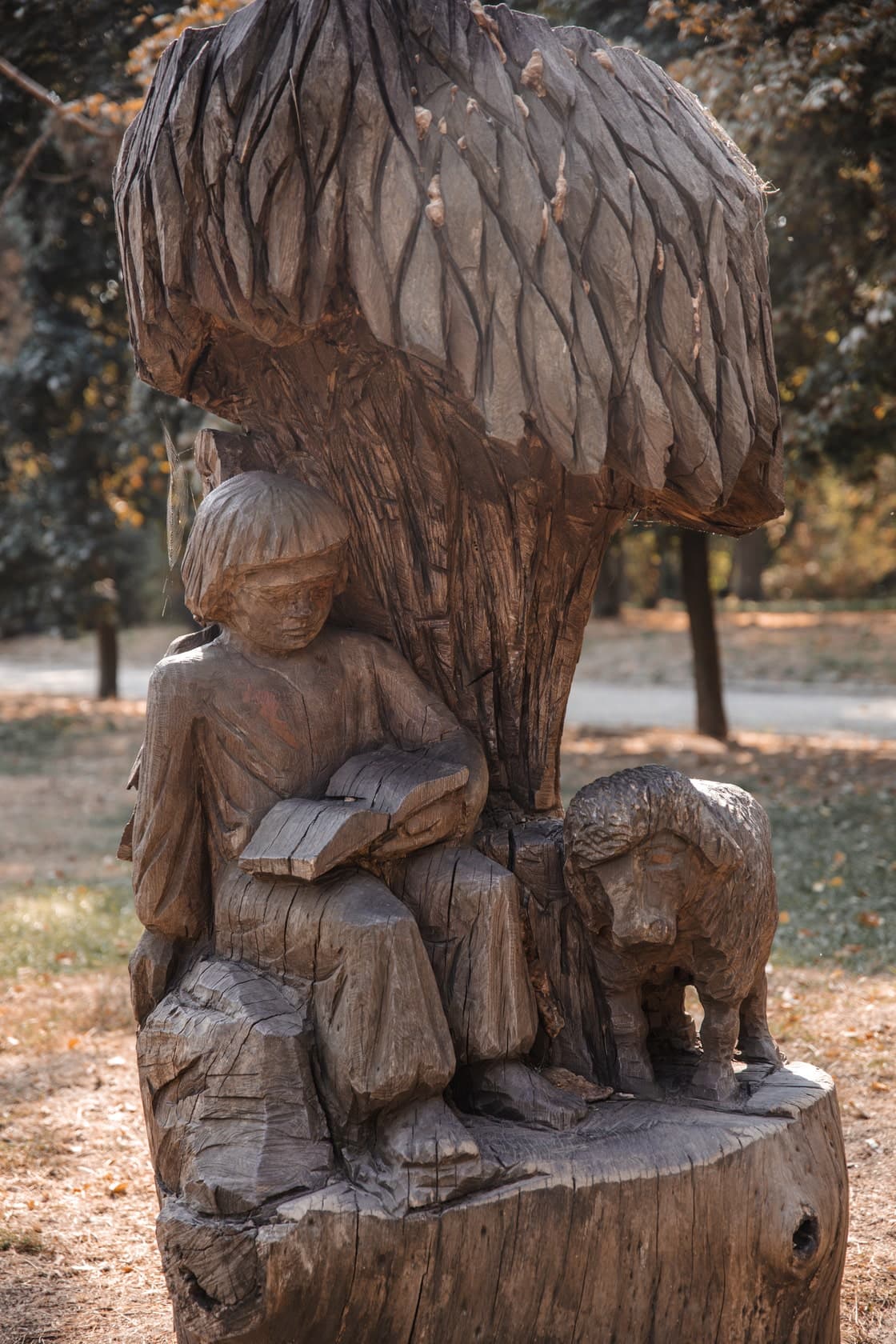 Hotel gallery photo - 4