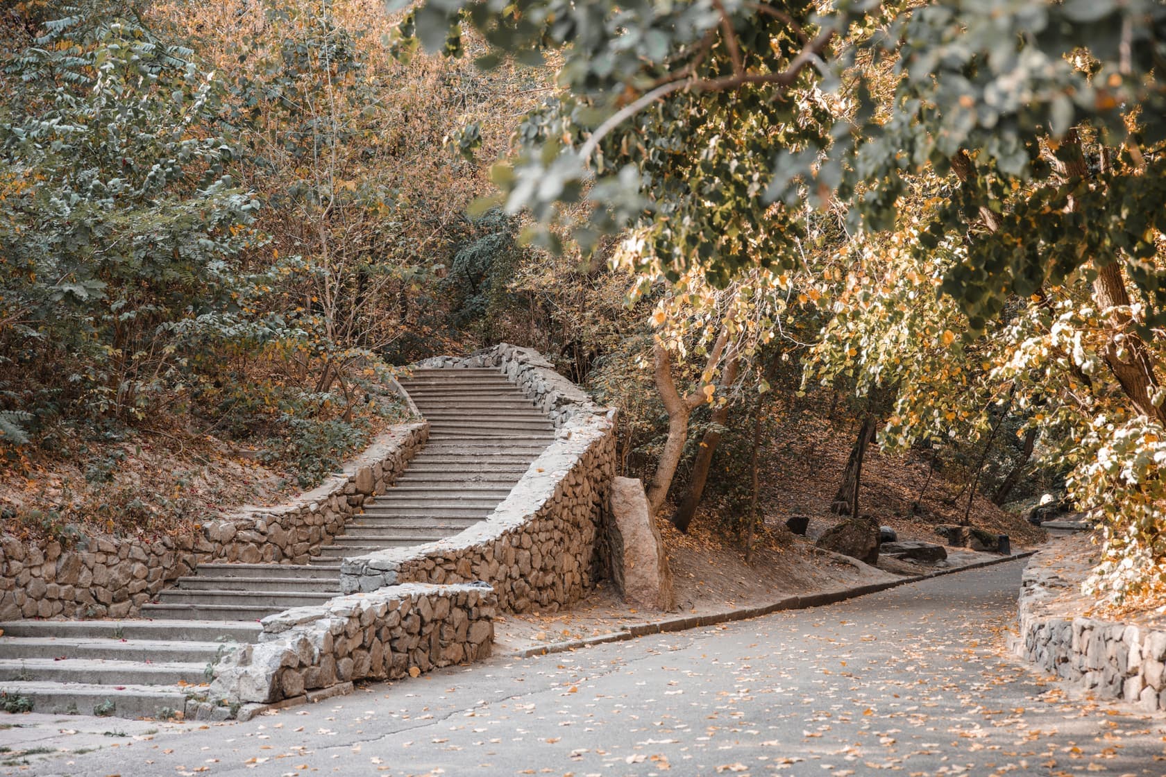 Hotel gallery photo - 7