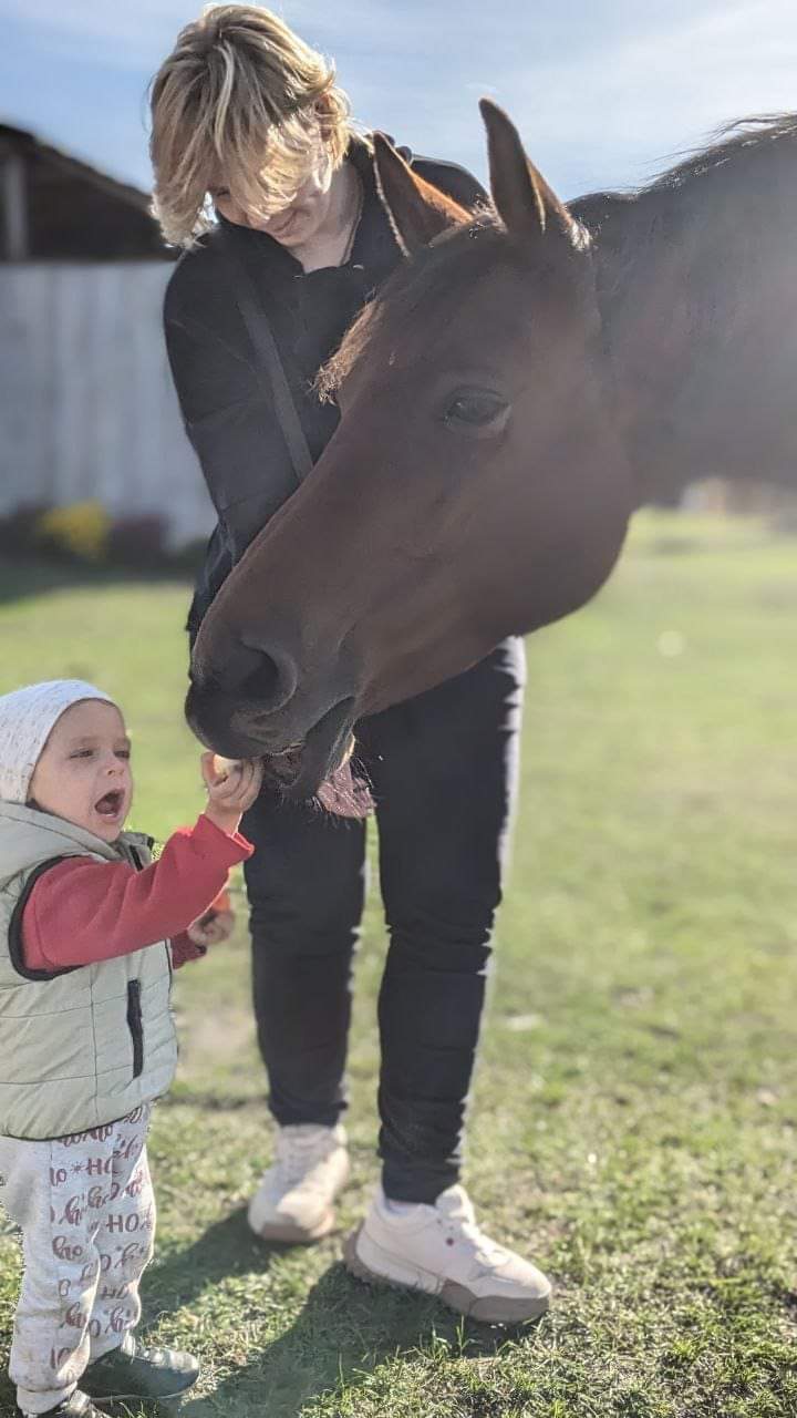 Hotel gallery photo - 14