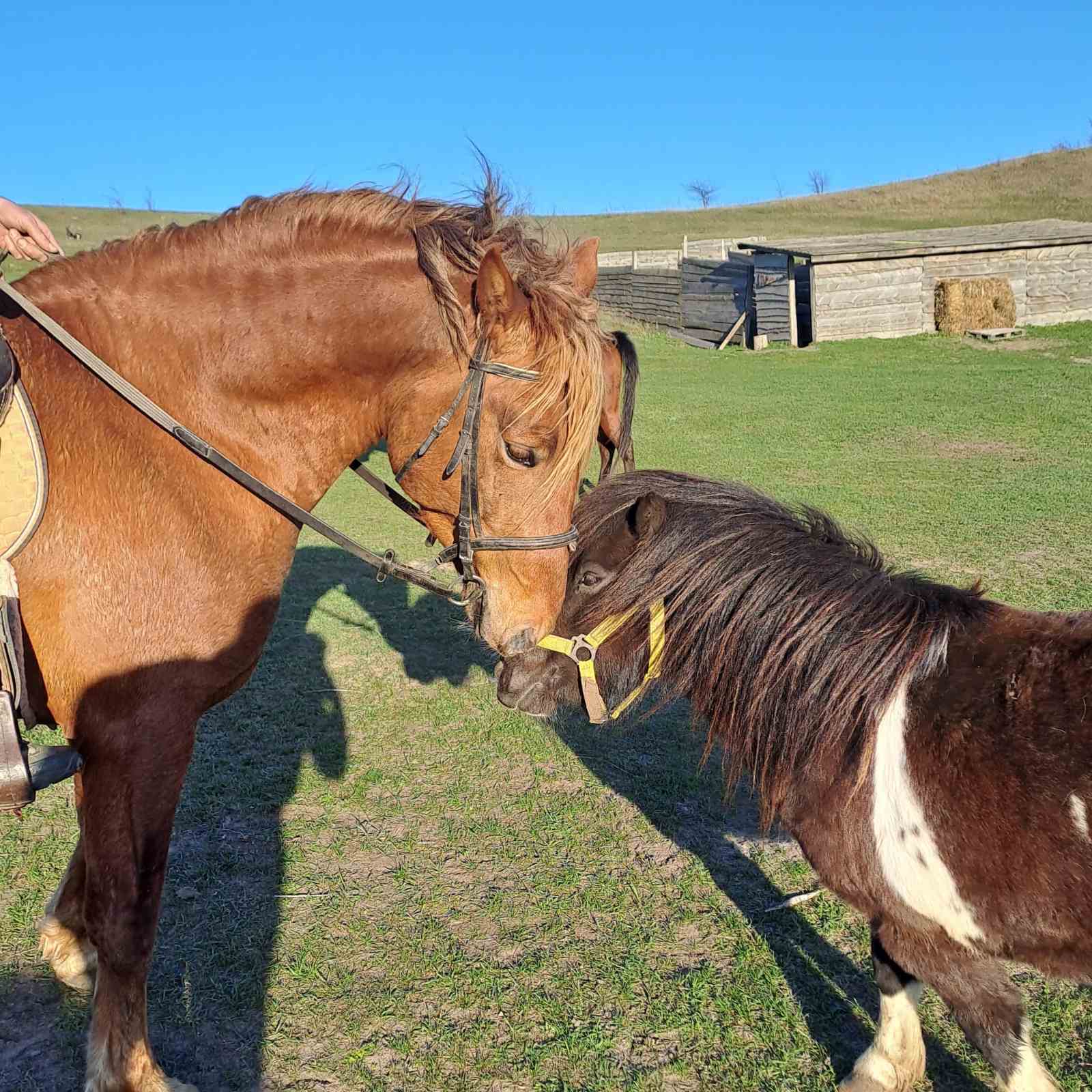 Hotel gallery photo - 16