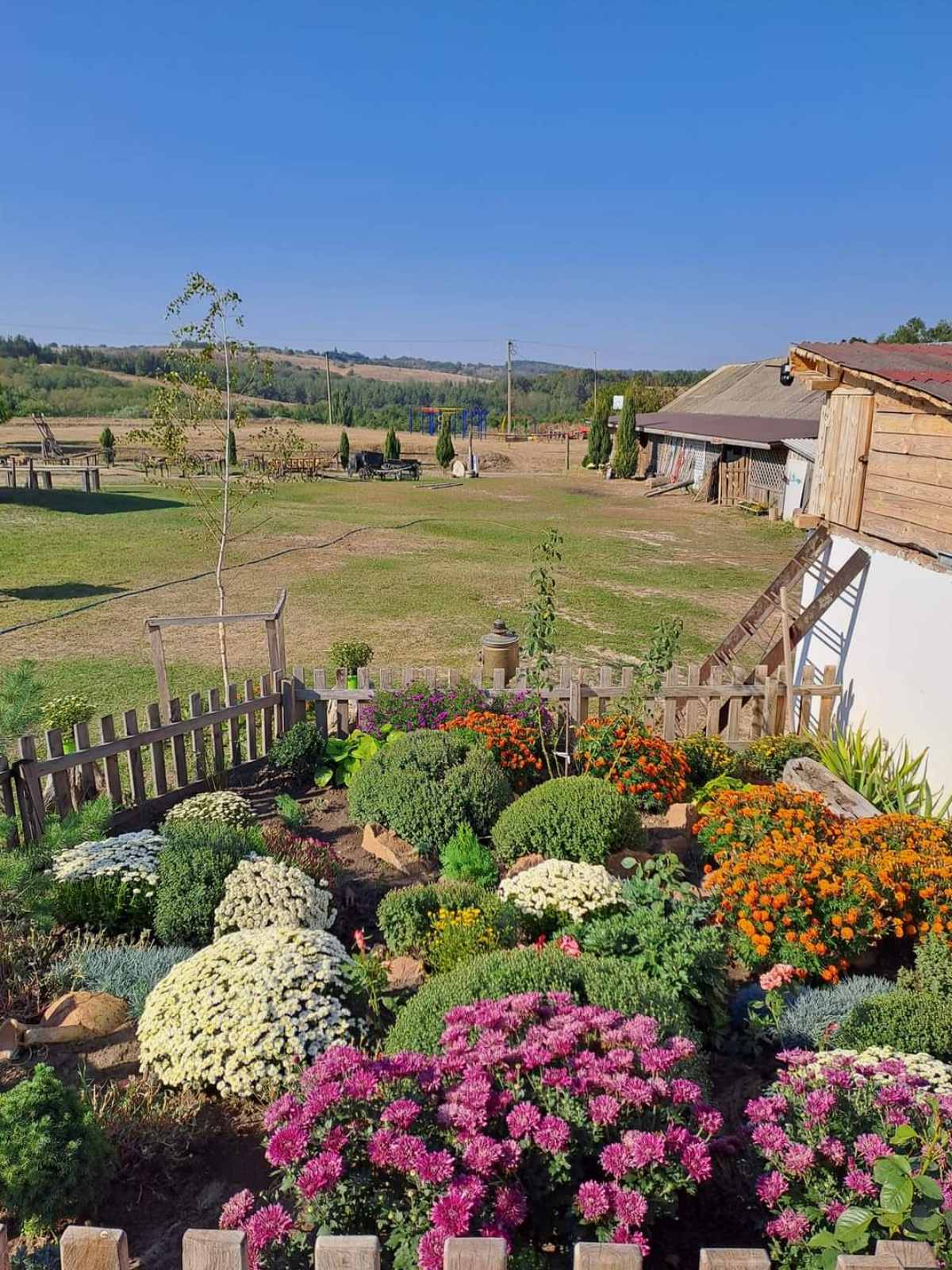 Hotel gallery photo - 17