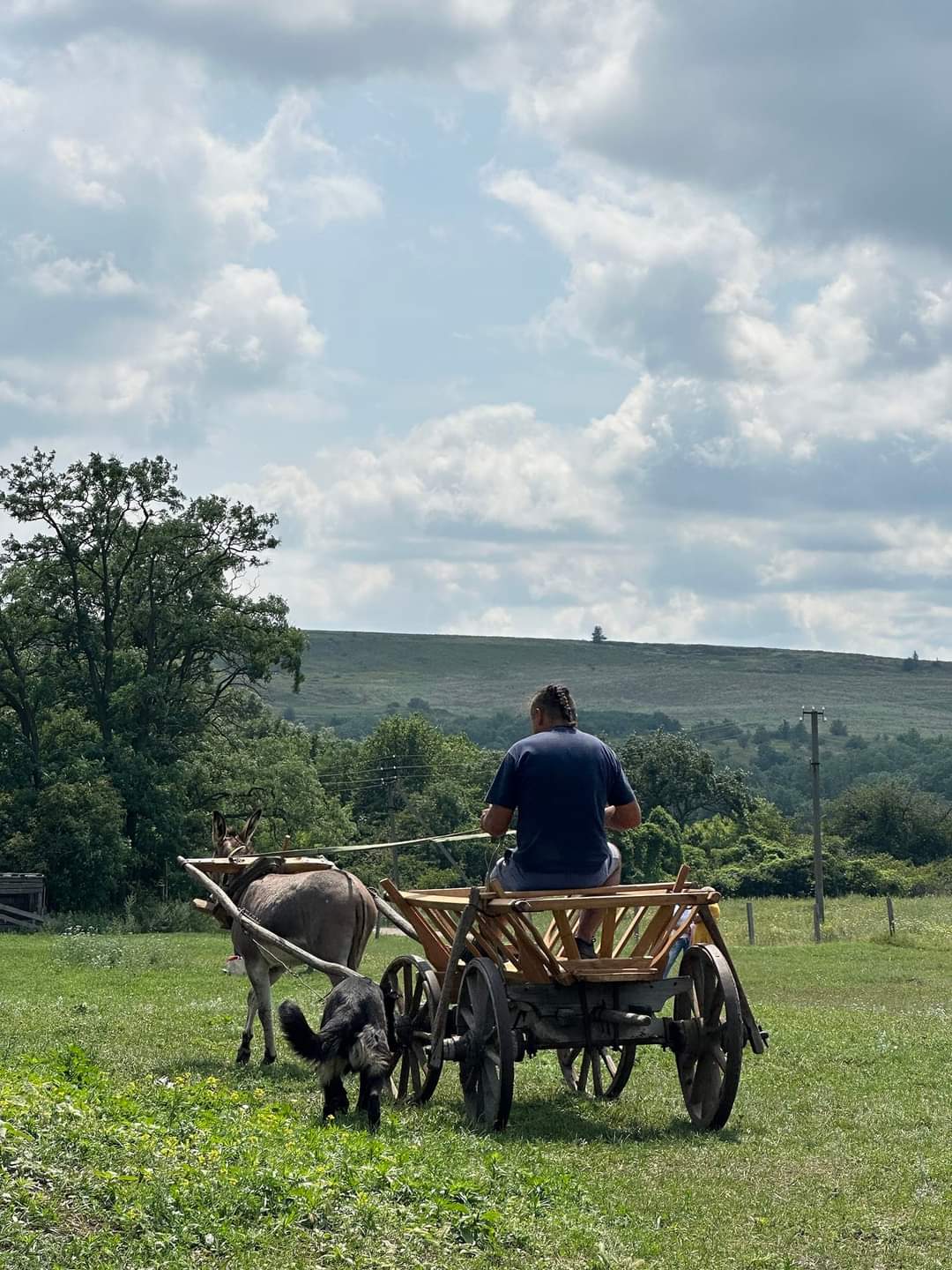 Hotel gallery photo - 18