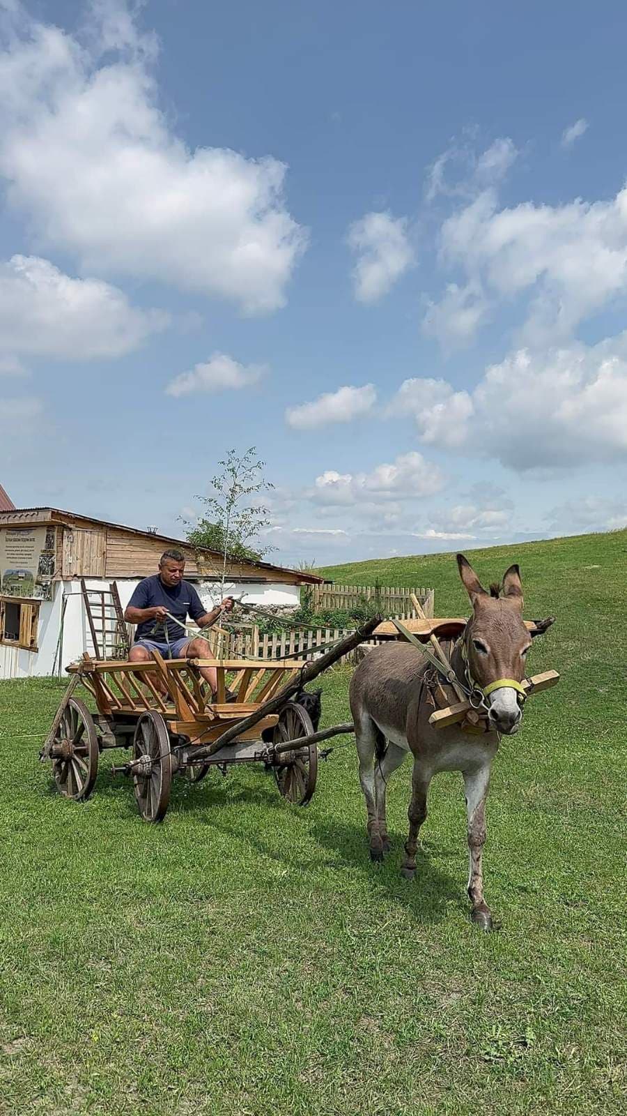 Hotel gallery photo - 19