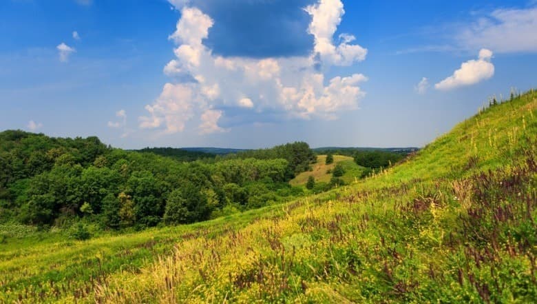 Hotel gallery photo - 4