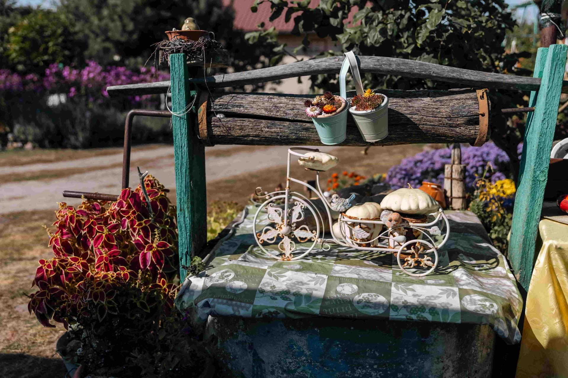 Hotel gallery photo - 9