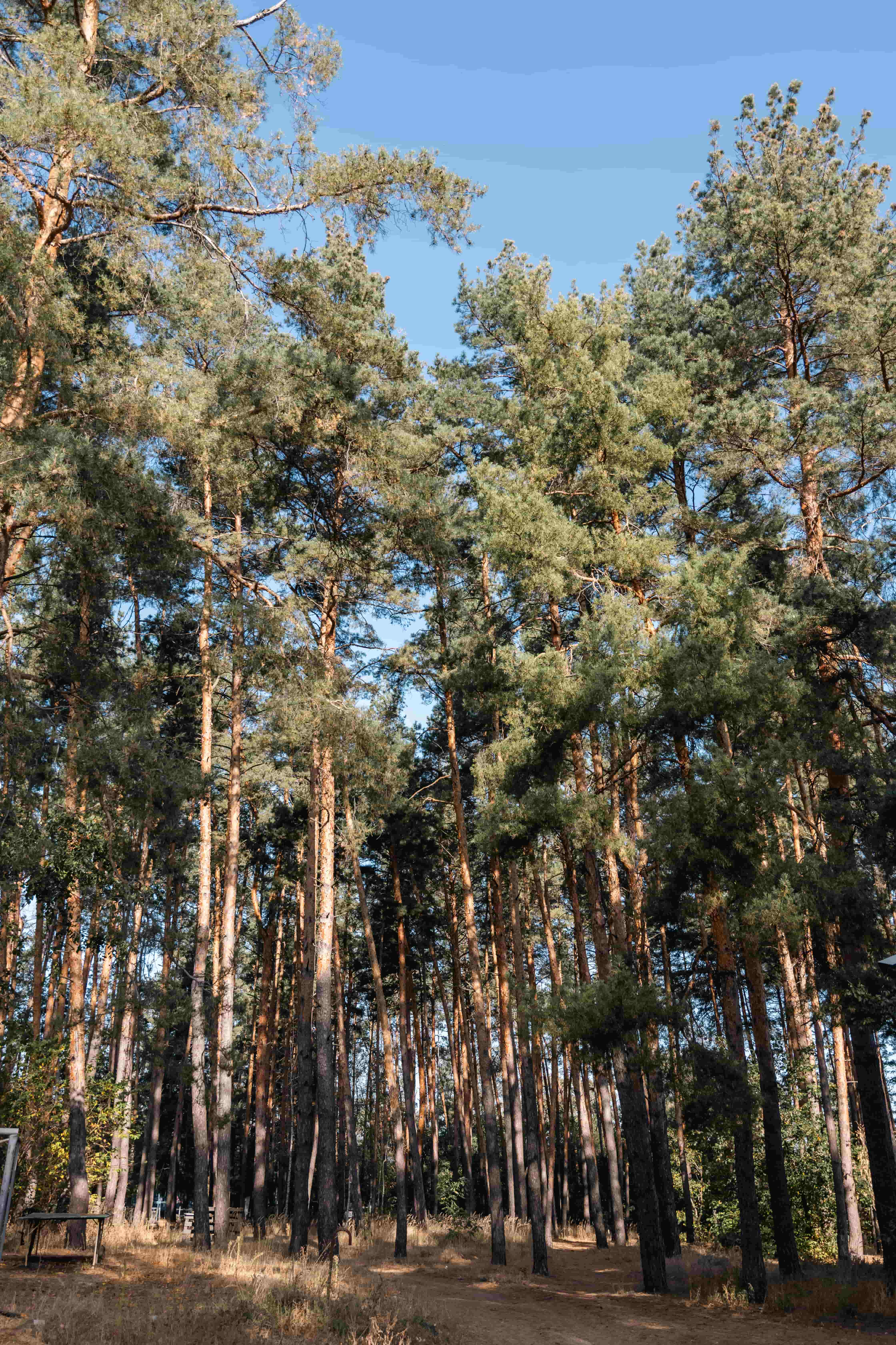 Hotel gallery photo - 16