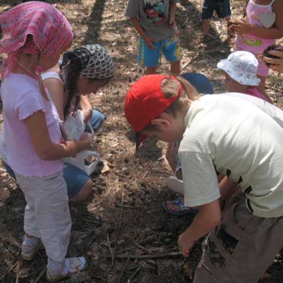 Hotel gallery photo - 21