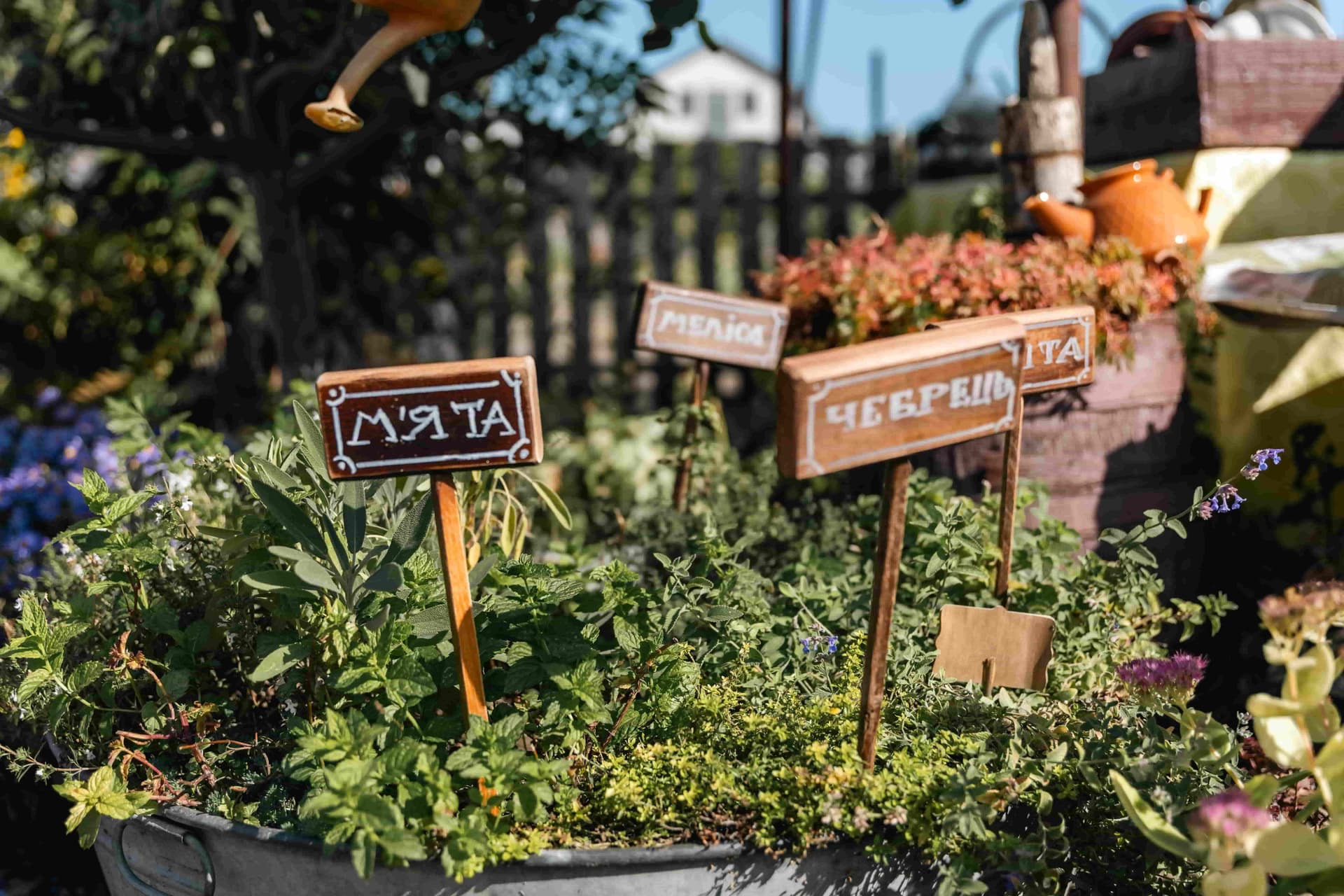 Hotel gallery photo - 2